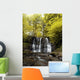 Low Angle View Of A Waterfall In A Forest Wall Mural