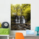 Low Angle View Of A Waterfall In A Forest Wall Mural