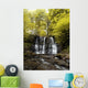 Low Angle View Of A Waterfall In A Forest Wall Mural