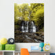 Low Angle View Of A Waterfall In A Forest Wall Mural