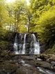 Low Angle View Of A Waterfall In A Forest Wall Mural