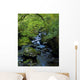 Stream Flowing Through A Forest Wall Mural
