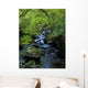 Stream Flowing Through A Forest Wall Mural