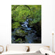 Stream Flowing Through A Forest Wall Mural