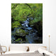 Stream Flowing Through A Forest Wall Mural