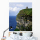 Republic Of Ireland Wall Mural