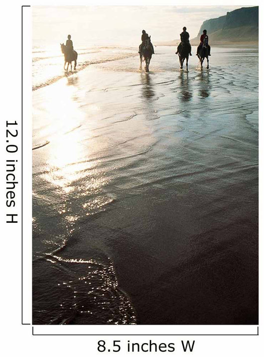 Four People Horseback Riding On A Coastal Beach, Ireland Wall Mural