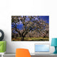 Apple Trees In An Orchard, County Armagh, Republic Of Ireland Wall Mural