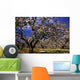 Apple Trees In An Orchard, County Armagh, Republic Of Ireland Wall Mural