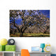 Apple Trees In An Orchard, County Armagh, Republic Of Ireland Wall Mural