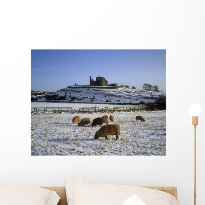Sheep Snow Covered Landscape Wall Mural shown on a wall