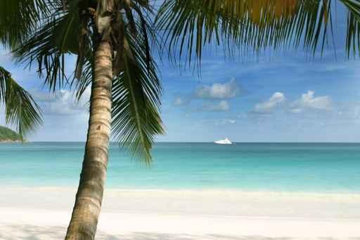 Seychelles8 Wall Decal