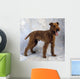 Irish Terrier Wall Mural