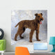 Irish Terrier Wall Mural