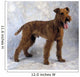 Irish Terrier Wall Mural