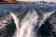 Goodbye Coast Wall Decal Design 2