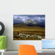 County Donegal, Mount Errigal, Ireland Wall Mural