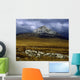 County Donegal, Mount Errigal, Ireland Wall Mural