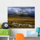 County Donegal, Mount Errigal, Ireland Wall Mural
