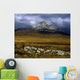 County Donegal, Mount Errigal, Ireland Wall Mural