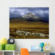 County Donegal, Mount Errigal, Ireland Wall Mural