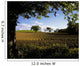 Ploughed Field, Potato Field, Ireland Wall Mural