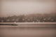 Sailboats In Victoria, British Columbia Wall Mural