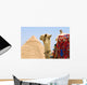 Camel Near A Pyramid, Giza, Egypt Wall Mural