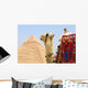 Camel Near A Pyramid, Giza, Egypt Wall Mural