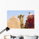Camel Near A Pyramid, Giza, Egypt Wall Mural