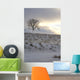 Winter Landscape Wall Mural