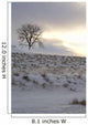 Winter Landscape Wall Mural