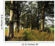 Larchill Arcadian Garden, County Kildare, Ireland Wall Mural