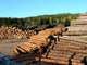 Lumber Wall Mural