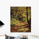 Woodland Path, Mount Stewart, Ards Peninsula, Co Down, Ireland Wall Mural