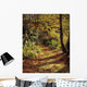 Woodland Path, Mount Stewart, Ards Peninsula, Co Down, Ireland Wall Mural