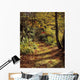 Woodland Path, Mount Stewart, Ards Peninsula, Co Down, Ireland Wall Mural