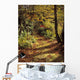 Woodland Path, Mount Stewart, Ards Peninsula, Co Down, Ireland Wall Mural