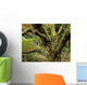 Lichen Covered Apple Tree, Walled Garden, Ilnacullin, Co Cork, Ireland Wall Mural