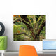 Lichen Covered Apple Tree, Walled Garden, Ilnacullin, Co Cork, Ireland Wall Mural