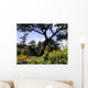 Irish National Botanic Gardens Wall Mural