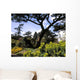 Irish National Botanic Gardens Wall Mural