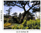 Irish National Botanic Gardens Wall Mural