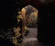 Beaulieu House & Gardens Wall Mural