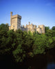 Lismore Castle, Co Waterford, Ireland Wall Mural