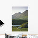 Horses Grazing On A Landscape, County Kerry, Republic Of Ireland Wall Mural