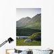 Horses Grazing On A Landscape, County Kerry, Republic Of Ireland Wall Mural