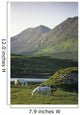 Horses Grazing On A Landscape, County Kerry, Republic Of Ireland Wall Mural