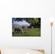 Horse Grazing On A Landscape Wall Mural