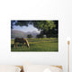 Horse Grazing On A Landscape Wall Mural